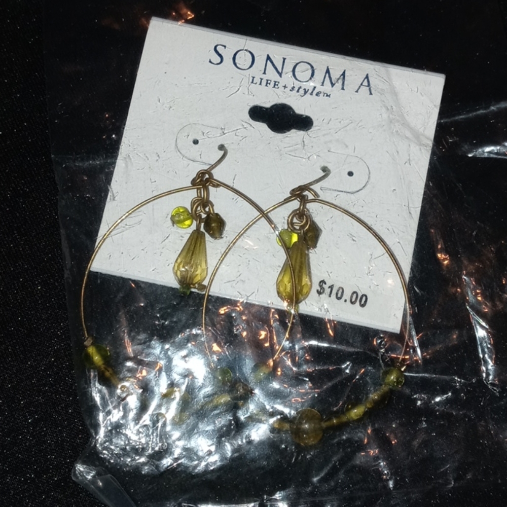 Circle Drop Earrings